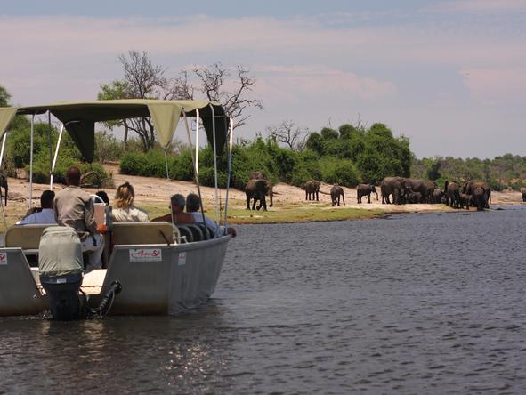 Elephant Valley Lodge - Activities